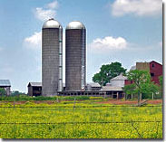 Nokesville farm